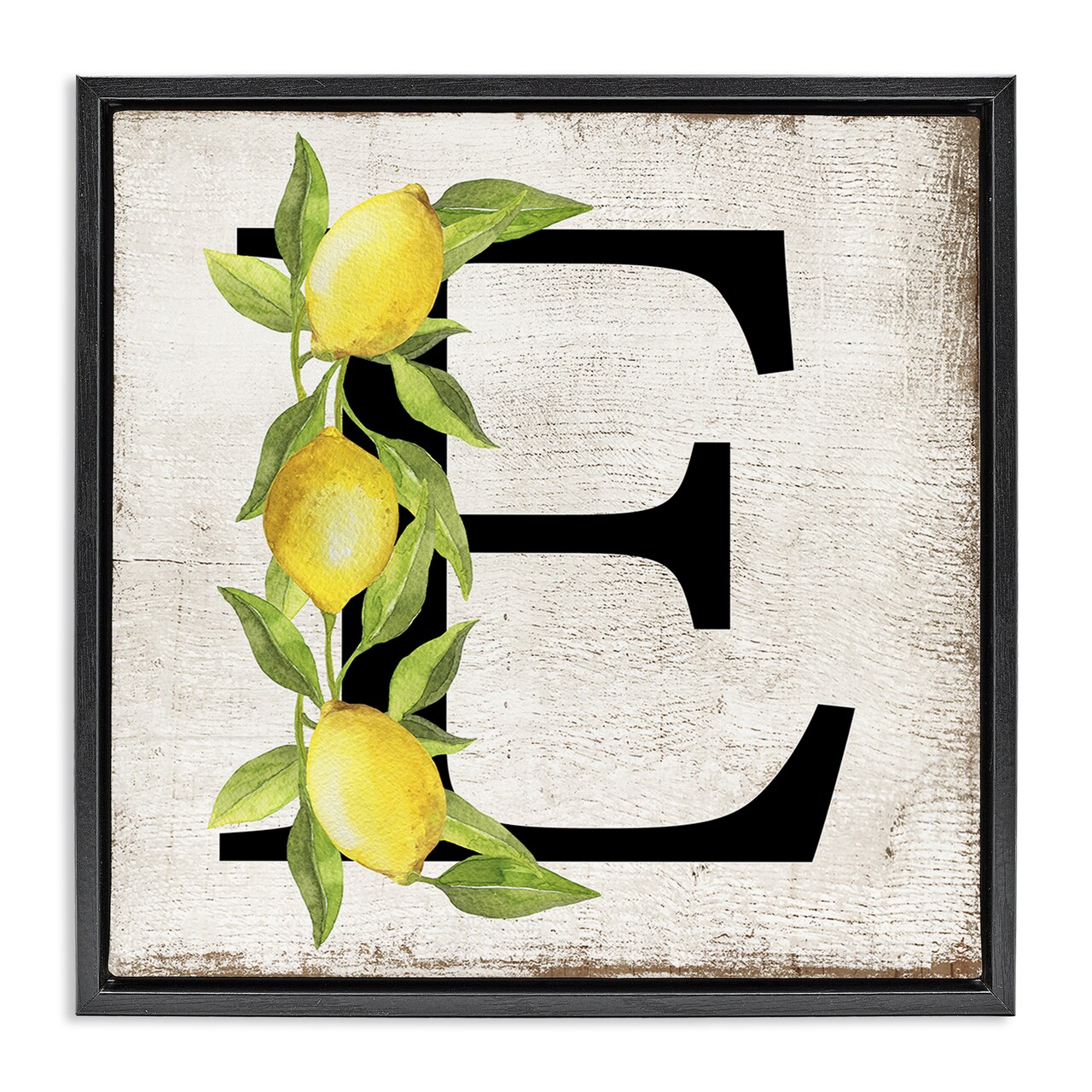 Stupell Industries E with Lemon Letter Floater Framed Canvas Wall Art Design by Creatif Belle